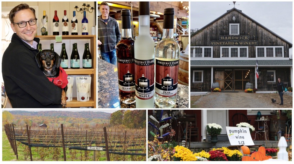 Time for holiday wine! Why not head out to a vineyard with the dog and pick some up! New England has quite a few #dogfriendly #vineyards -- read about the ones we recently visited: blog.corkhounds.com/2019/11/26/exp…