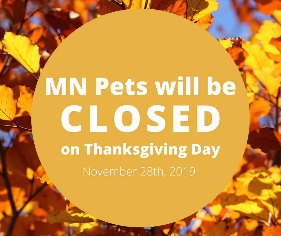 MNpets's tweet image. MN Pets will be closed on Thanksgiving Day, November 28th. We hope you all have a relaxing and safe holiday. We will be back to our normal hours on November 29th.

If your pet is in need of immediate assistance, please visit mnpets.com/resources to find an emergency clinic