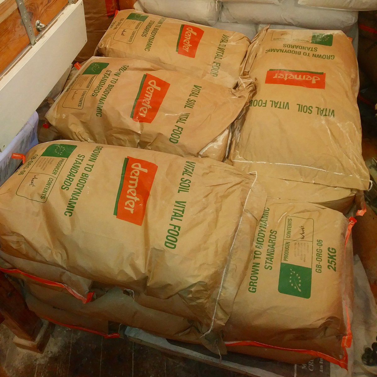 A fresh batch of biodynamic wheat grain recently harvested at the nearby Hungary Lane Farm has arrived at the mill 🚜 We cant wait to start milling it! Now all we need is some wind... 🌀

#notts #nottingham #biodynamic #windmill #greenswindmill #wheat #grain #organic #eatorganic