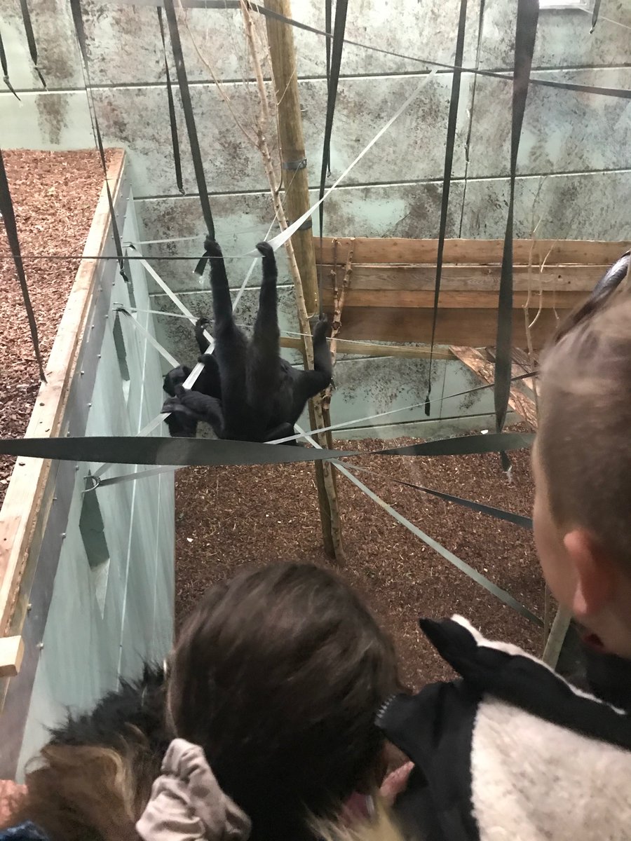 We’ve had an amazing day at Twycross Zoo. On our way home now, we plan to be back at 4:30pm.