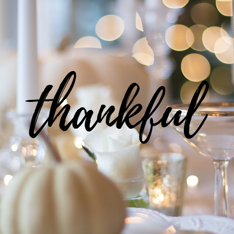 Ruthless_Editor's tweet photo. To my readers: I’m grateful that you share with me a love for grammar as well as your questions and comments. Know someone else who could benefit? Please tell them about my blog and twice-monthly email with free grammar tips!

https://t.co/BQ5xrpsKOK

#thanksgiving #grammar #blog https://t.co/zgkS1Ij29c
