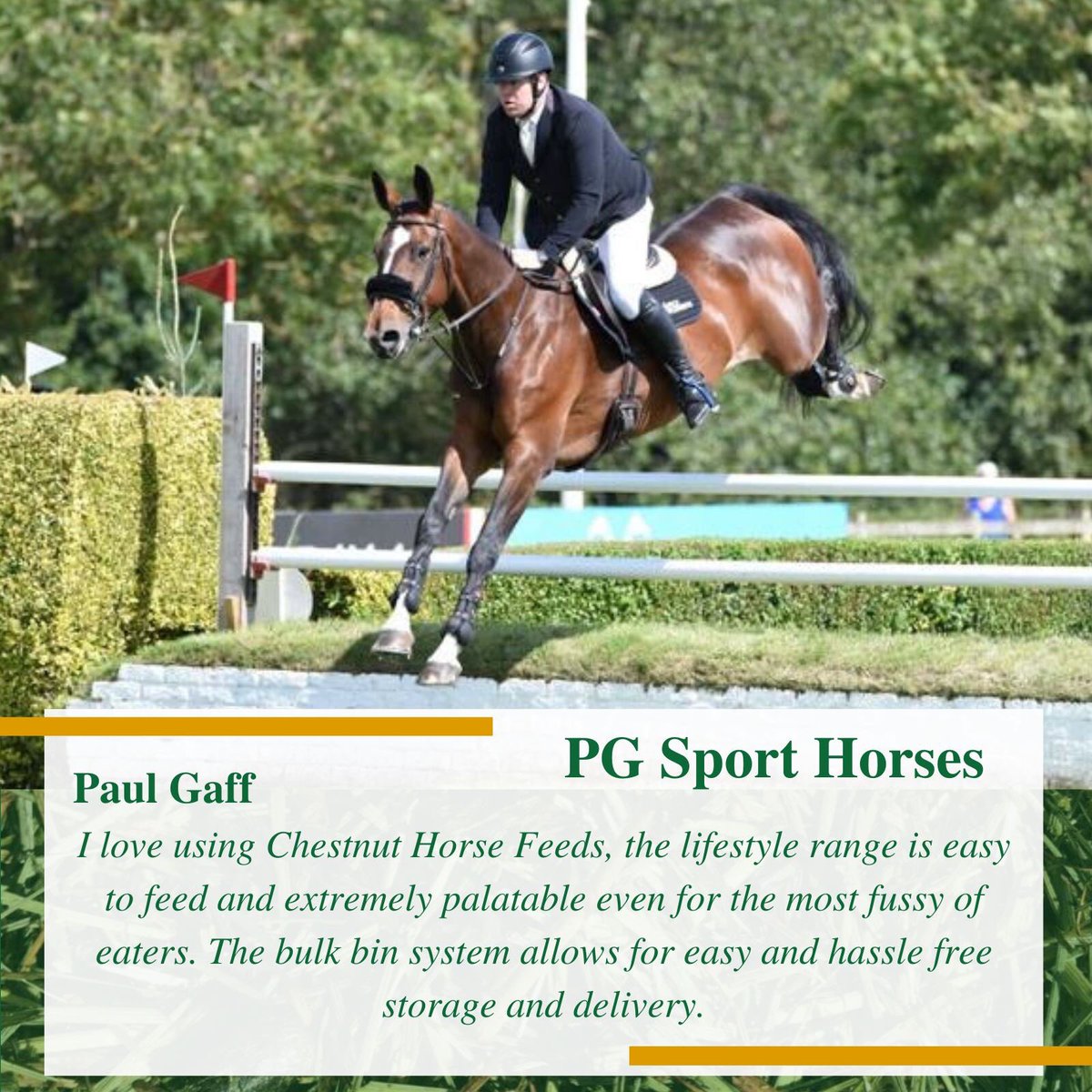 Chestnut Horse Feeds tweet media