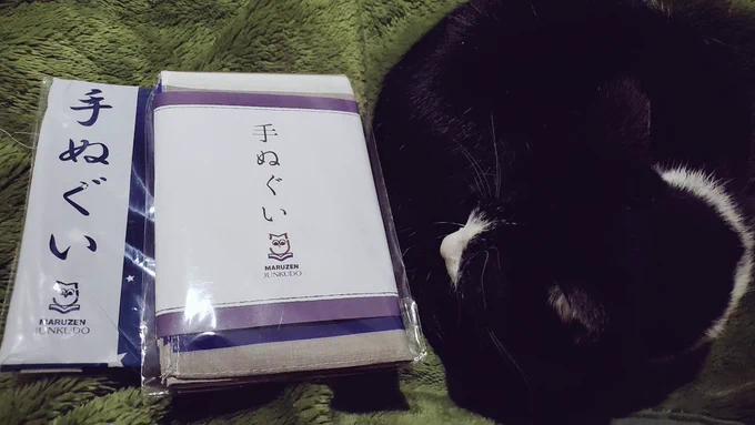 丸善ジュンク堂書店のピンクレシートで手拭い2枚頂いてきました
隣は猫です(比較用)(いや特に比較する必要ないんですけど猫です) 