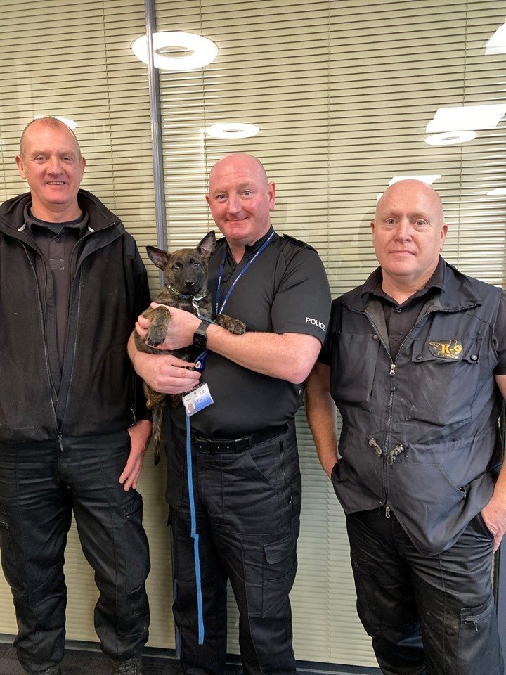 ClevelandPolice's tweet photo. 🐾 Paws right now! 🐾

Meet PD Judge who is our newest PD recruit. He is a Dutch Shepherd at only 8 weeks old. He’s looking forward to meeting all his other PD recruits. 🐶

ACC Steve Graham with officers from the dog unit.

#dogs #dogsoftwitter #policedog #puppy #policedog https://t.co/AmIKpCTagW