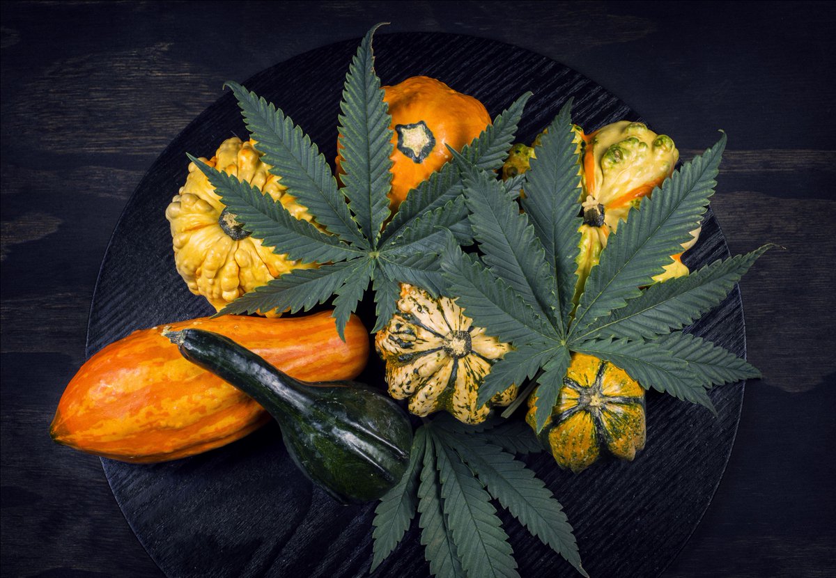 MyCannX tweet media