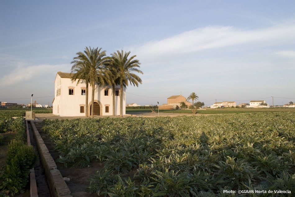 RT @FAOnews: Spain🇪🇸’s Horta of Valencia wins recognition on @FAO’s global agriheritage list.

An e.g. of sustainable irrigation, the site is home to birds, fish & 800+ plant species, many classified as rare, endemic or endangered in Eu & Spain

👉ow.ly/XVH230pWSGb #GIAHS
