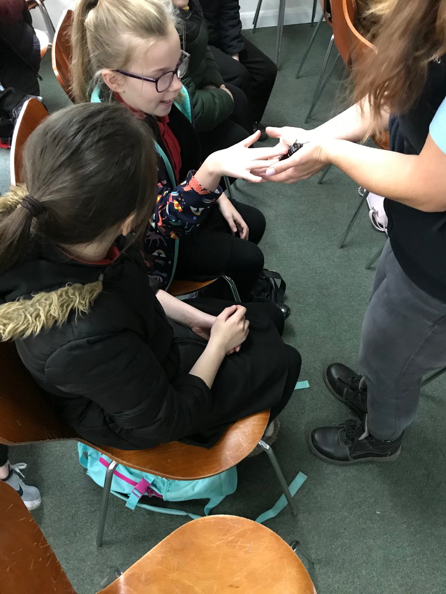 We’ve had a great time meeting Kelloggs the corn snake and Alan the hissing cockroach! #twycrosszoo