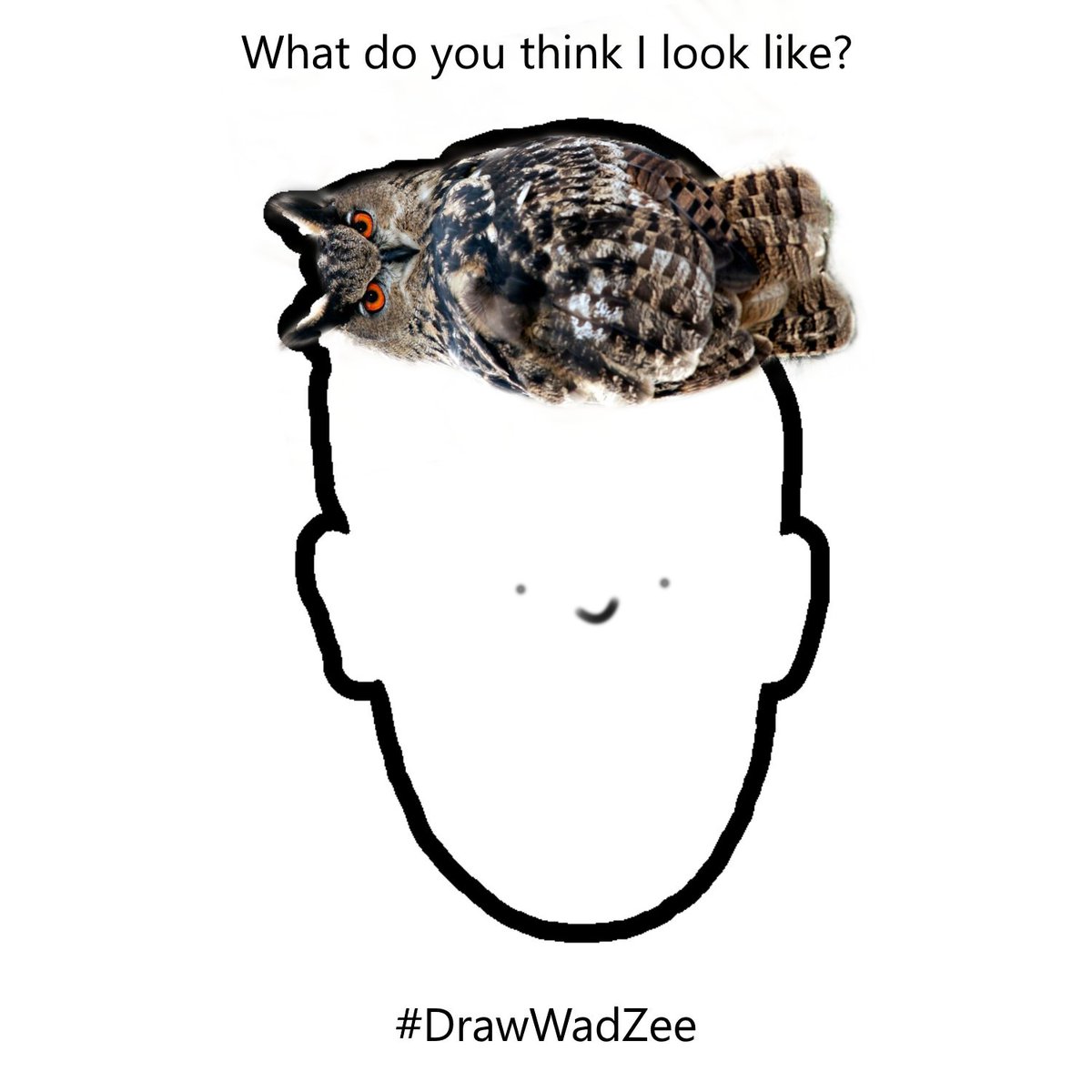 inz_wojtkowiak's tweet photo. #DrawWadZee https://t.co/cVbGUacPKl