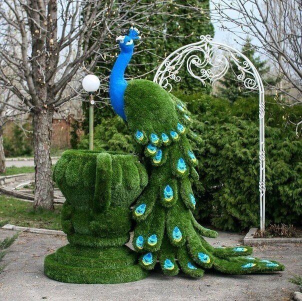 gorodunet's tweet image. Кажется, что павлин сейчас распустить хвост!

#садовыйдекор #декоручастка #красота