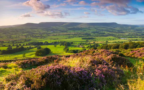 Lancs_Cookbook's tweet photo. Happy Lancashire Day! What better way to celebrate the region than with The Lancashire Cook Book Second Helpings - dish up a your local favourites and enjoy the taste of Lancashire! Available at the link below:
#LancashireDay #Lancashire #Food 
https://t.co/7I0mJ0nbNE https://t.co/3LnlOT53EU