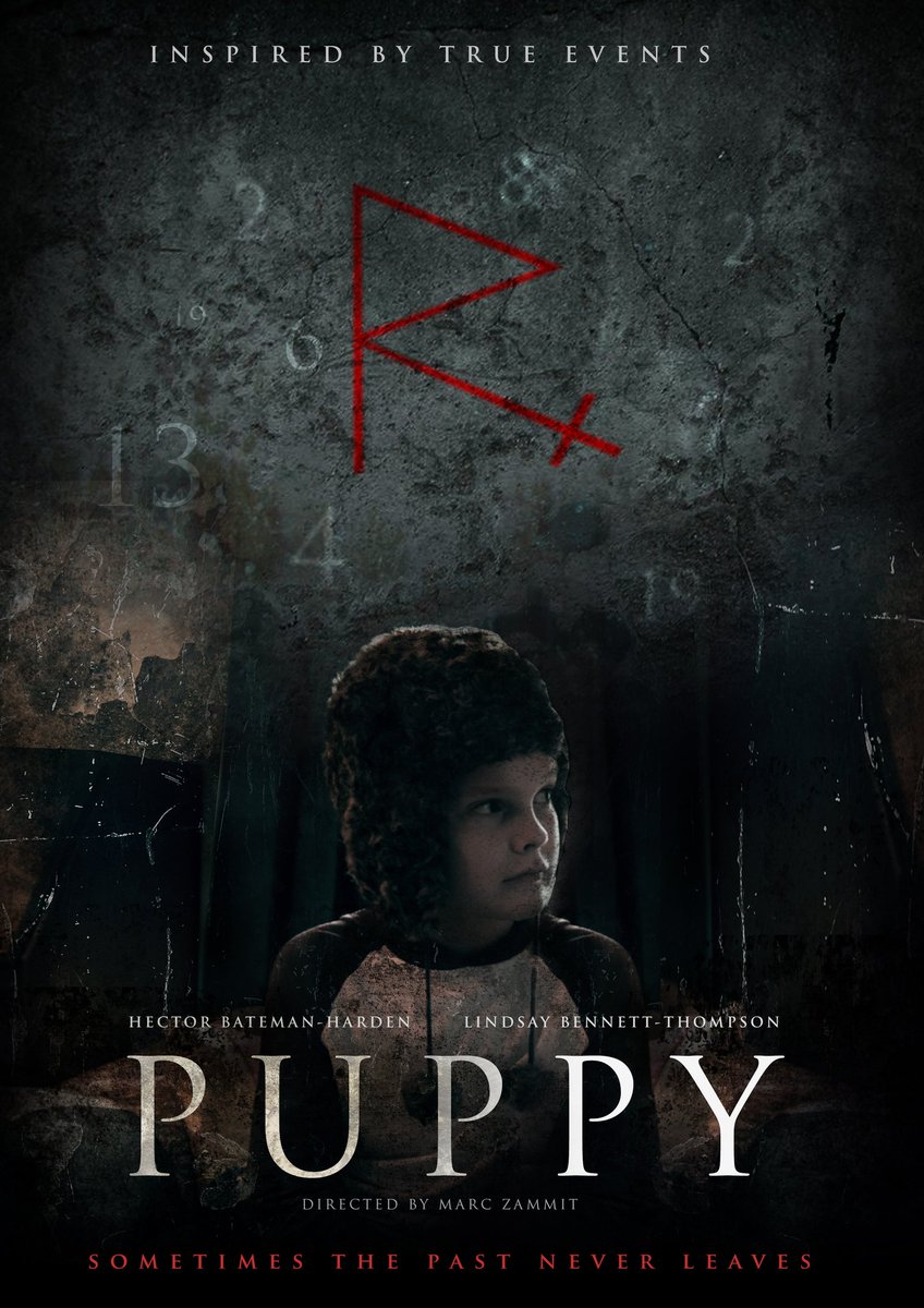 zammit_marc's tweet photo. So proud of how this is turning out a #mysterious #thriller #horror #Shortfilm I directed starring @LinsyBennett and @HectorEBH #PuppyShort 

Check out the concept poster! Please share and retweet! Coming 2019! https://t.co/X5z4l60O3S