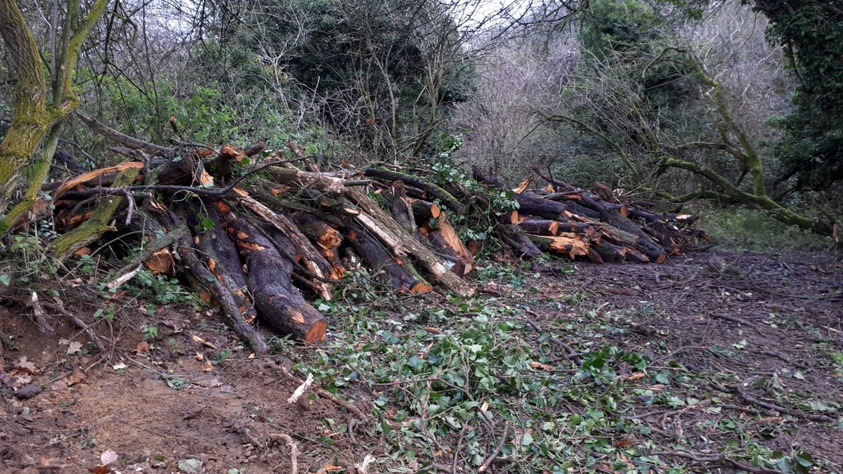 NewtPartnership's tweet photo. We've been busy restoring ponds and creating habitat at #RobinswoodHill Country Park #Gloucestershire @GlosCC making suitable once again for great crested newts. All paid for with funds from @NatureSpaceDL #DistrictLicensing scheme. We'll be monitoring success in 2020. https://t.co/SHFzBUGVSt