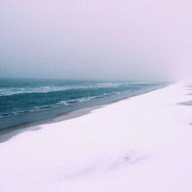 Oscar E. - Mariposa " Loves Agave" tweet media