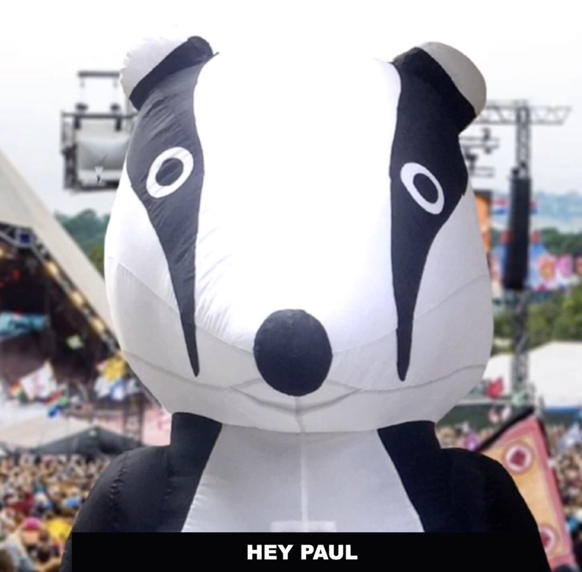 Everyone knows badgers like beetles, but Percy prefers The Beatles, at least he did until he heard that Sir Paul McCartney decided to headline at Glasto next year. So he’s written <a href="/PaulMcCartney/">Paul McCartney</a> a song youtu.be/0CIHz4BEfRQ #badgeronamission 
#boycottglastonbury