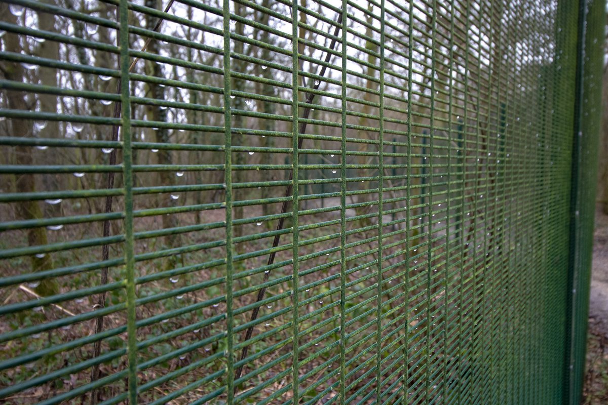 CLD_Fencing's tweet photo. π±πΏ CLD helped the world-leading #research facility, @BIFoRUoB to #protect the #future of our #forests around the #globe with 358 forest #fence and #gate systems. π³π²
Find out more here: https://t.co/BqNwik97KP
#ForestFencing #PerimeterProtection #FuturisticForest https://t.co/KLzBhUAu2P