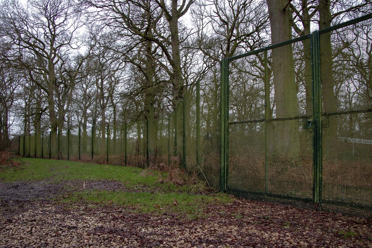 CLD_Fencing's tweet photo. π±πΏ CLD helped the world-leading #research facility, @BIFoRUoB to #protect the #future of our #forests around the #globe with 358 forest #fence and #gate systems. π³π²
Find out more here: https://t.co/BqNwik97KP
#ForestFencing #PerimeterProtection #FuturisticForest https://t.co/KLzBhUAu2P