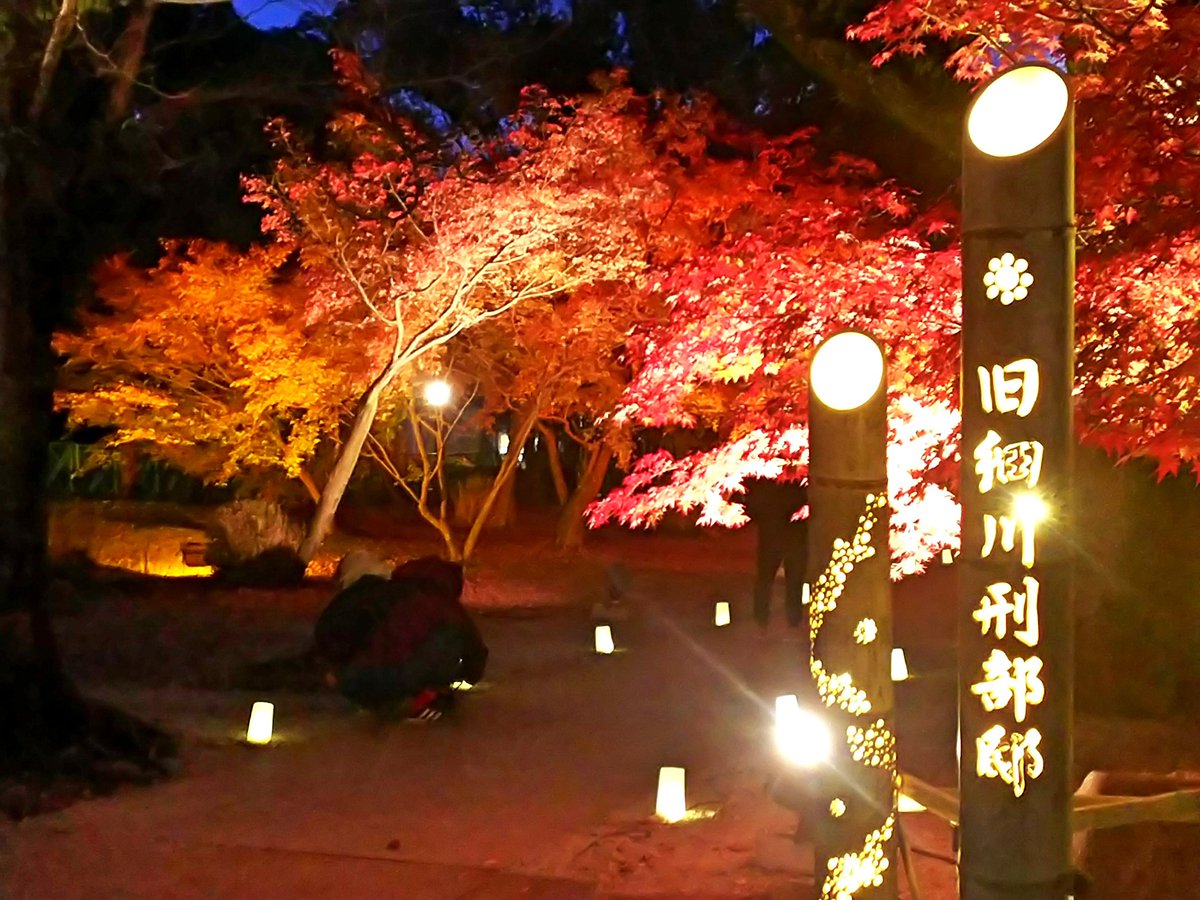とうこ Toko 旧細川刑部邸の限定公開 紅葉のライトアップは17時頃から 綺麗で夢中で撮ってしまいました 旧細川刑部邸 紅葉19 とうこ Toko 旧細川刑部邸の限定公開 紅葉のライトアップは17時頃から 綺麗で夢中で撮ってしまいました 旧細川刑部邸 紅葉19
