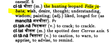 Abhishek Avtans अभ ष क अवत स Oh I Understand The Confusion Before The Word Cheetah Was Borrowed Into English Around 18th Century The English Gloss Of च त Was Hunting Leopard Any