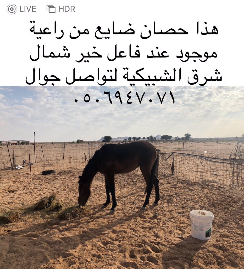 ALHAMAL123's tweet photo. https://t.co/P8g0aqksPG