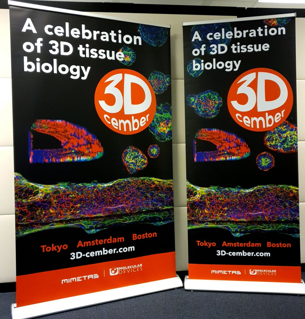 MIMETAS_3D's tweet photo. 3D-cember: The Global 3D Cell Culture Event is coming up soon: https://t.co/07mC95kSzu ! Just a few seats left in Boston and Tokyo, sign-up quickly before we reach capacity!
#3Dcember #3Dcellculture #event #science #biotech #research #organonachip https://t.co/cyTgy2l1FQ