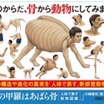 コワイ笑。人の身体骨から動物にしてみました。