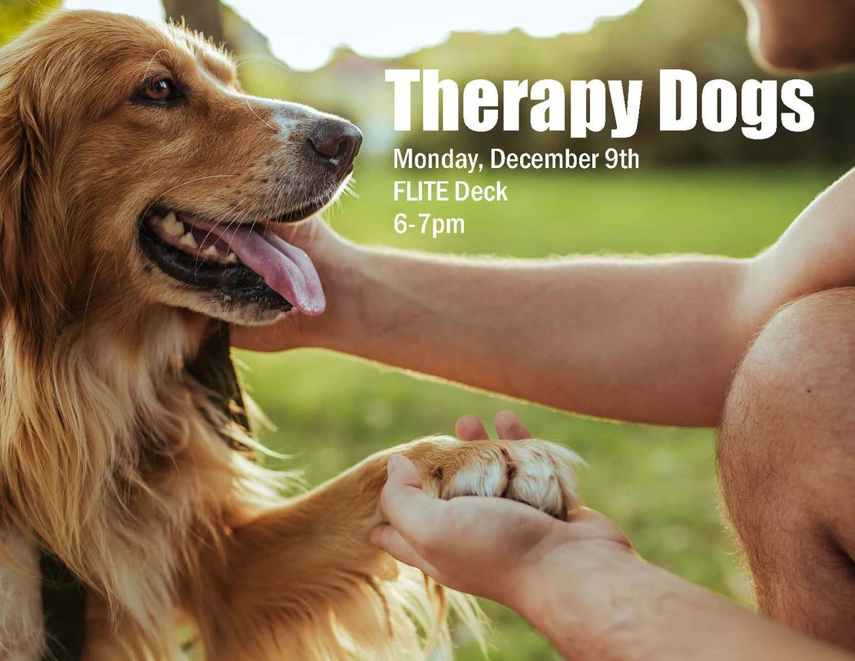 FLITElibrary's tweet photo. The Dogs return to FLITE on Monday the 9th from 6-7 in the Flite Deck. #therapydogs https://t.co/l6S6APlm4I
