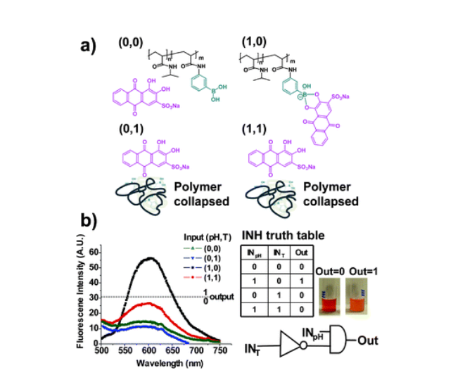 NKrasnogor's tweet image. Polymer-based logic: Diol–boronic acid complexes integrated by responsive polymers—a route to chemical sensing and logic operations
buff.ly/37Hfy3O
#unconventional #computing #molecularcomputing