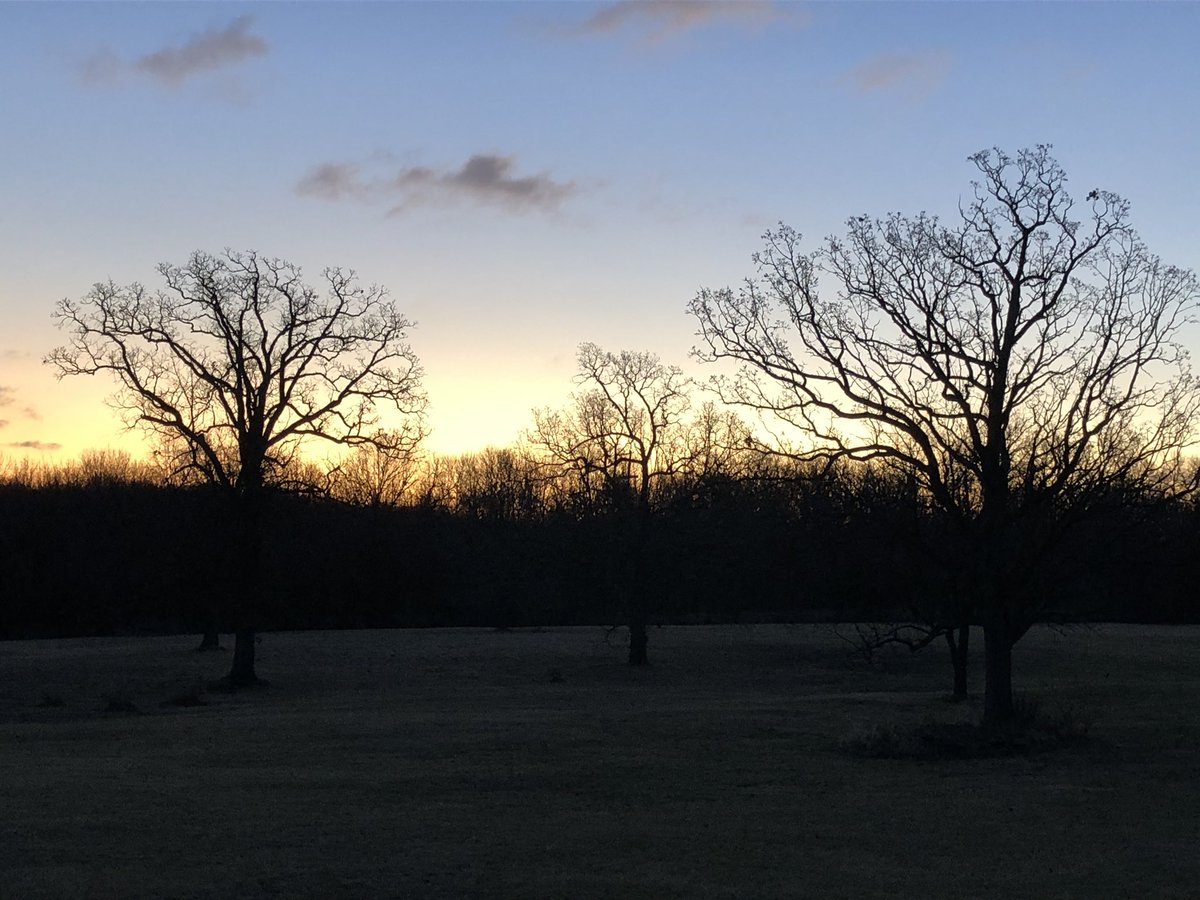 DavidGeurin's tweet photo. “Cultivate the habit of being grateful for every good thing that comes to you, and to give thanks continuously.”

—Ralph Waldo Emerson
#GiveThanks #Gratitude #Thanksgiving https://t.co/FjVScPYG6h