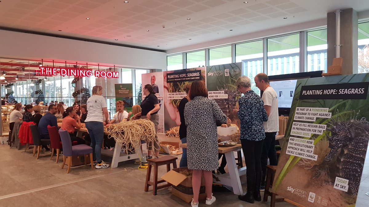 Working hard or hardly working?

Staff at <a href="/SkyNews/">Sky News</a> and <a href="/wwf_uk/">WWF UK</a> taking time out of the office to come and help save #seagrass today!