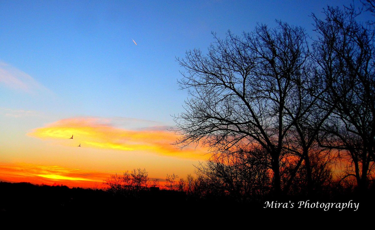 dhakalmira's tweet photo. As a pair of birds take early morning flight.
#Memories #FlippingOldAlbum #Sunrise #FiveYearsBack https://t.co/Uct1GU53An