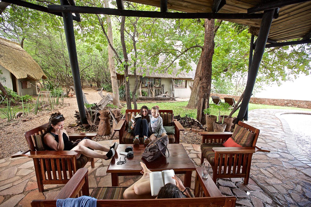 Young or old, a safari is a great getaway for the whole family to enjoy together!

Contact us to book your festive season retreat: musangosafaricamp.com/accommodation

#FamilyTravel #FamilyTime #FamilyVacation #HolidaysBeginHere #HolidaysAreComing #AfricaTravel #Zimbabwe #LakeKariba