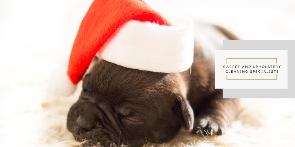 When we host at Christmas, we want the family to feel comfortable and settled. This is something that’s much easier to achieve when the carpet is looking clean, feeling soft and smelling fresh!

Contact us for FREE quote

#HerefordshireHour #Carpet #CarpetCleaning