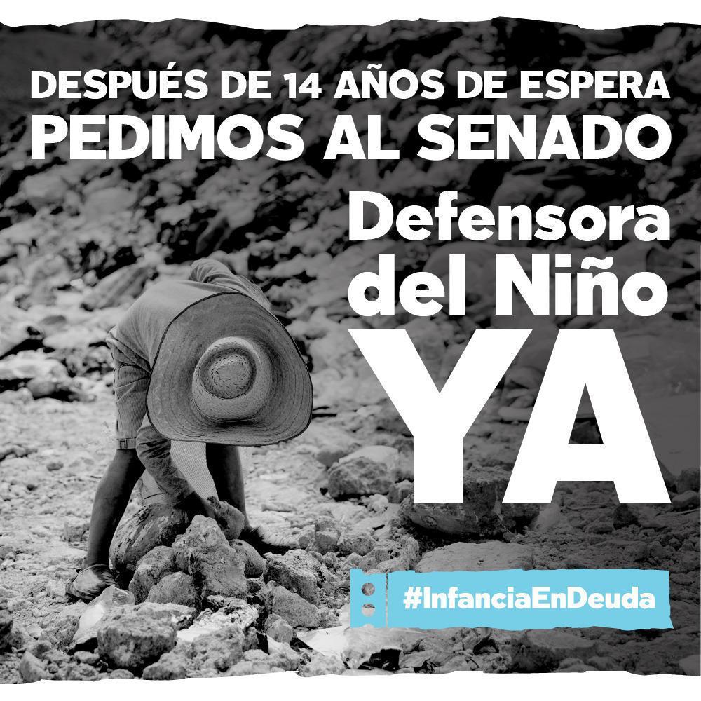 El Reparo CT tweet media