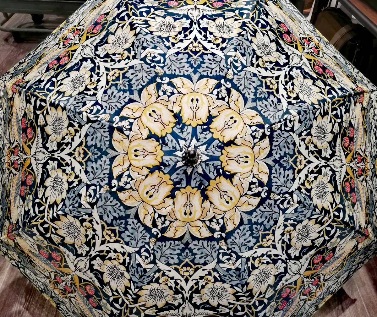 eclectichound's tweet photo. A very appropriate delivery today from @FultonUmbrella 🌂
@WMorrisandCo Kensington-2 walker #umbrella &amp; Minilite in the #strawberrythief pattern 😍
☔
☔
☔
#britishbrand #colourpop #antibland #Royalwarrant #singingintherain #thoughtfulgift #winchesterindependents #leadnotfollow https://t.co/pdwDeLja7h