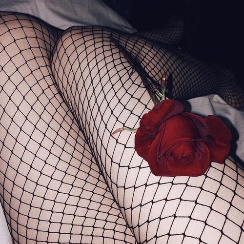 єηνу tweet media