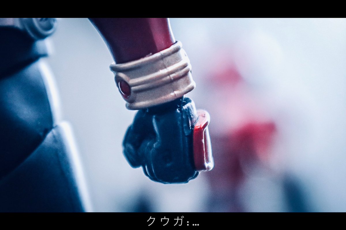 『そんなもん決まってんだろ…人間を、守る為だよ』