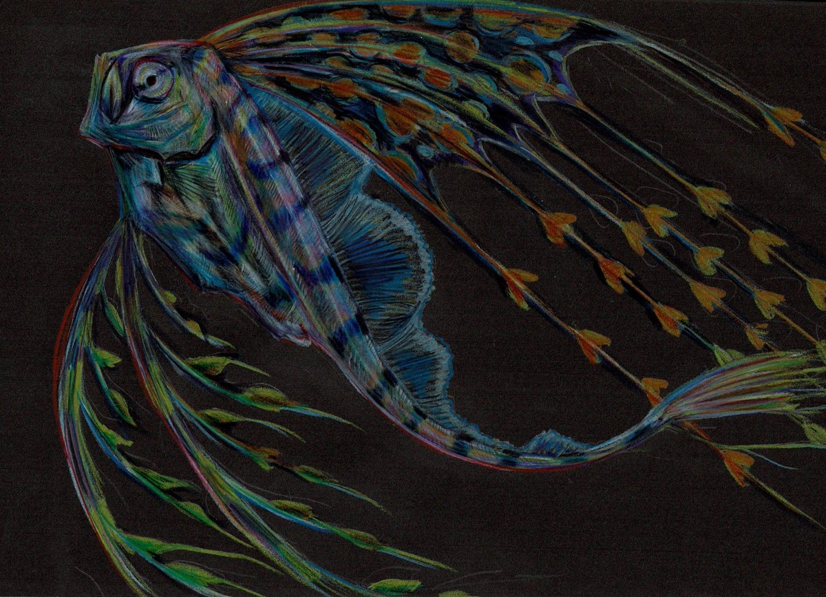 みんなで深海魚を描こうの会 Twitter Search