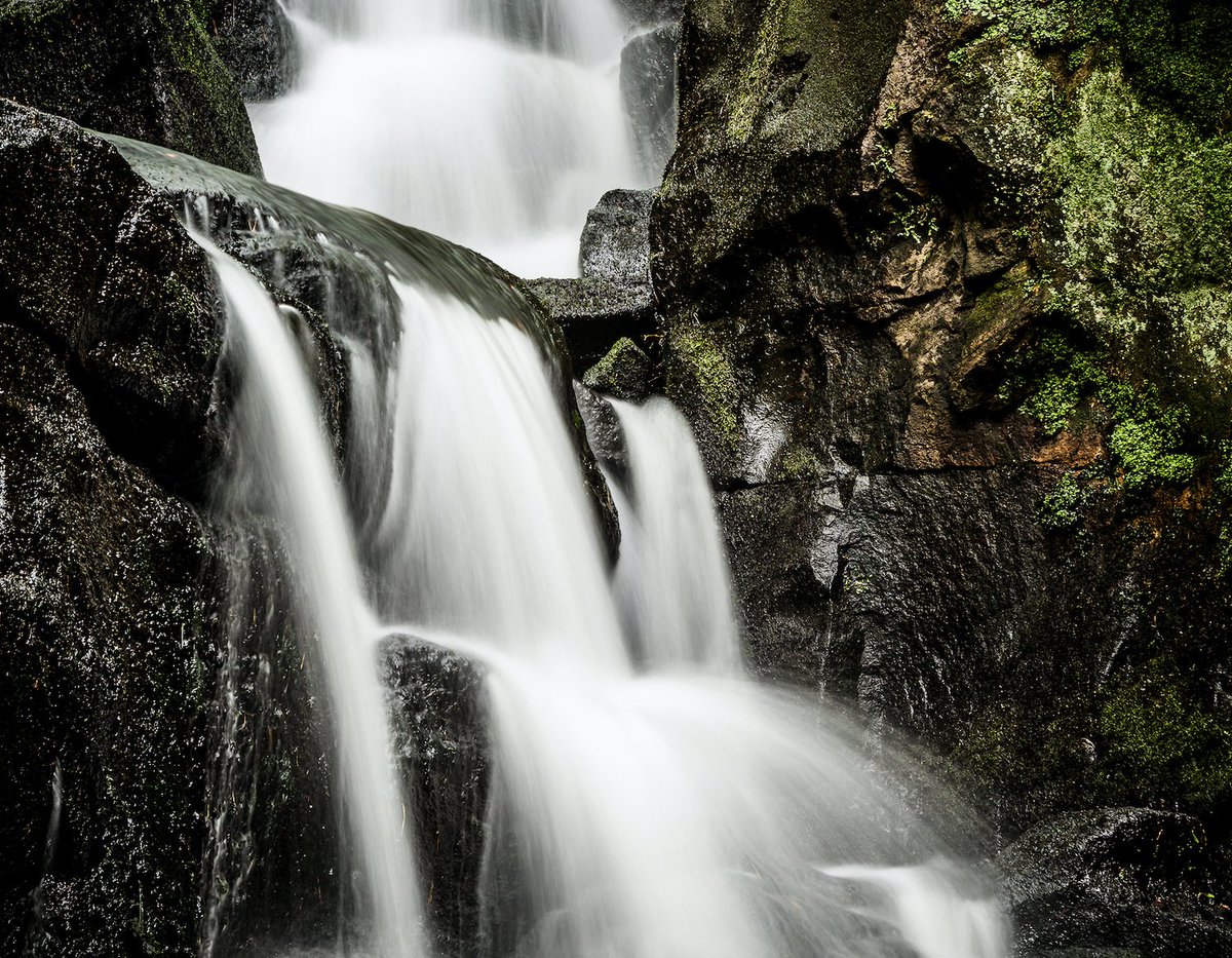 CanonCNA's tweet image. Capturer du mouvement en photographie de paysage donne une nouvelle dynamique à vos photos. Le vent sur les arbres, les vagues sur une plage, etc. La vitesse d&apos;obturation doit être plus lente, l&apos;ouverture moins grande et vous pouvez ajouter un filtre. #LandscapeTips #CanonCNA