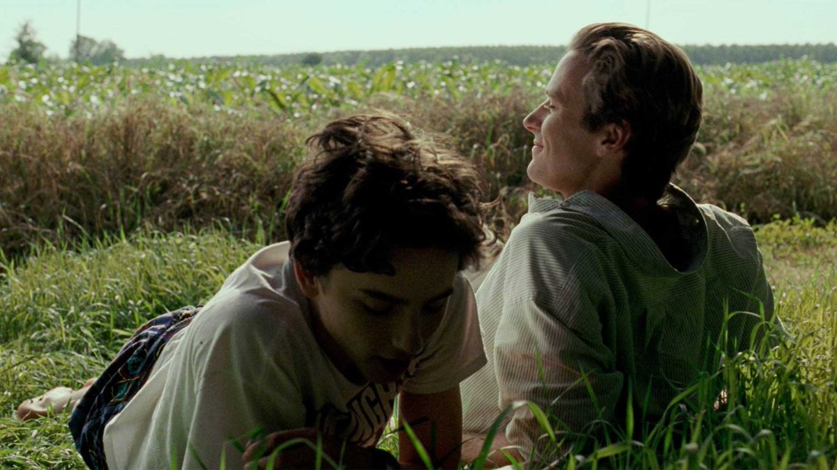 Timothée Chalamet & Armie Hammer in CMBYN (2017, dir. Luca Guadagnino)Chalamet gives an impossibly detailed coming-of-age performance; Hammer uses his persona so intelligently, subtly revealing things about Oliver.Our book on the film discusses both:  https://seventh-row.com/ebooks/call-me-by-your-name-ebook/