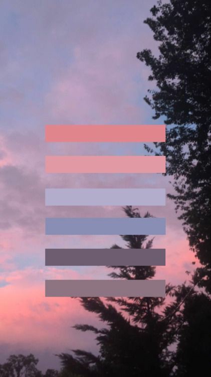 𝑾𝒂𝒍𝒍𝒑𝒉𝒐𝒏𝒆˳✧༚ tweet media