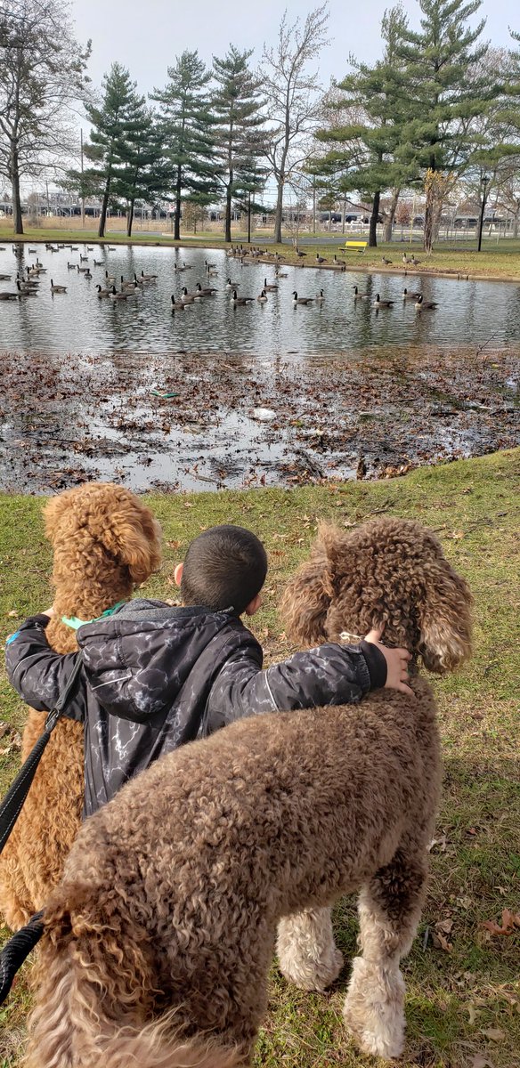 🍂🦆🍂🐕😊🦸‍♂️
