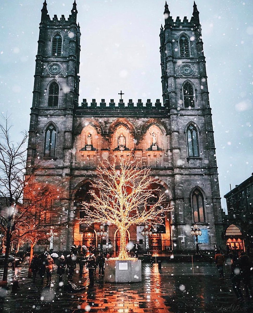 VIP Ontario Tours tweet media