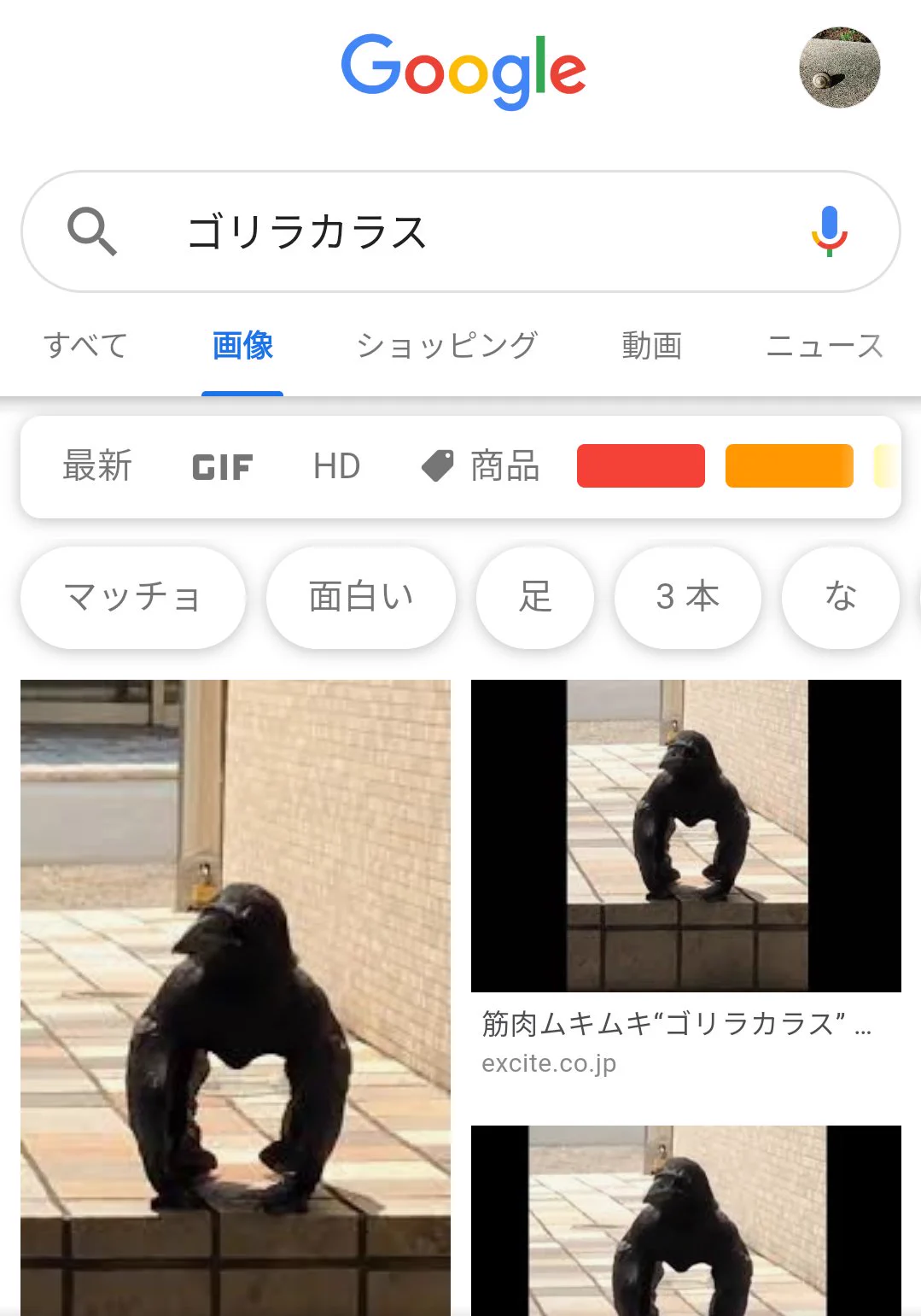 @Yurukuyaru ゴリラカラス？ 