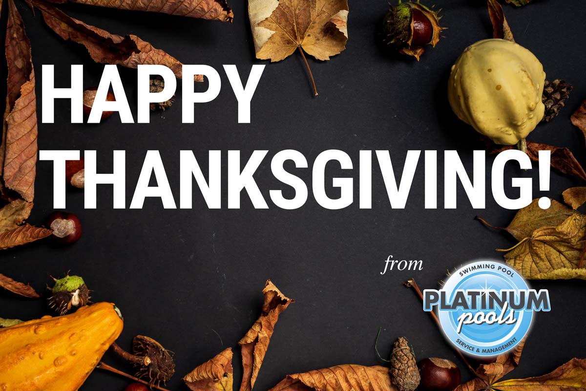 Happy Thanksgiving from all of us at Platinum Pools! We are thankful for the opportunities we have had to work with you and your families this year. eepurl.com/gK8GqP