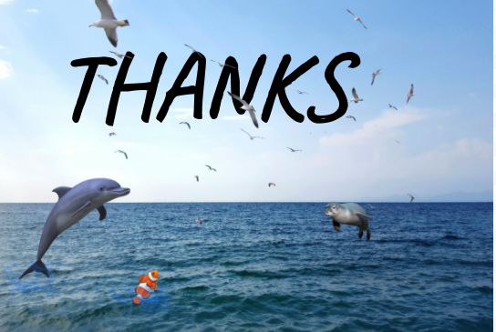 SavingOceanLife's tweet photo. This #Thanksgiving I am giving thanks for the great animals of the world and the great big ocean. #HappyThanksgiving https://t.co/QcLu4ymLnJ