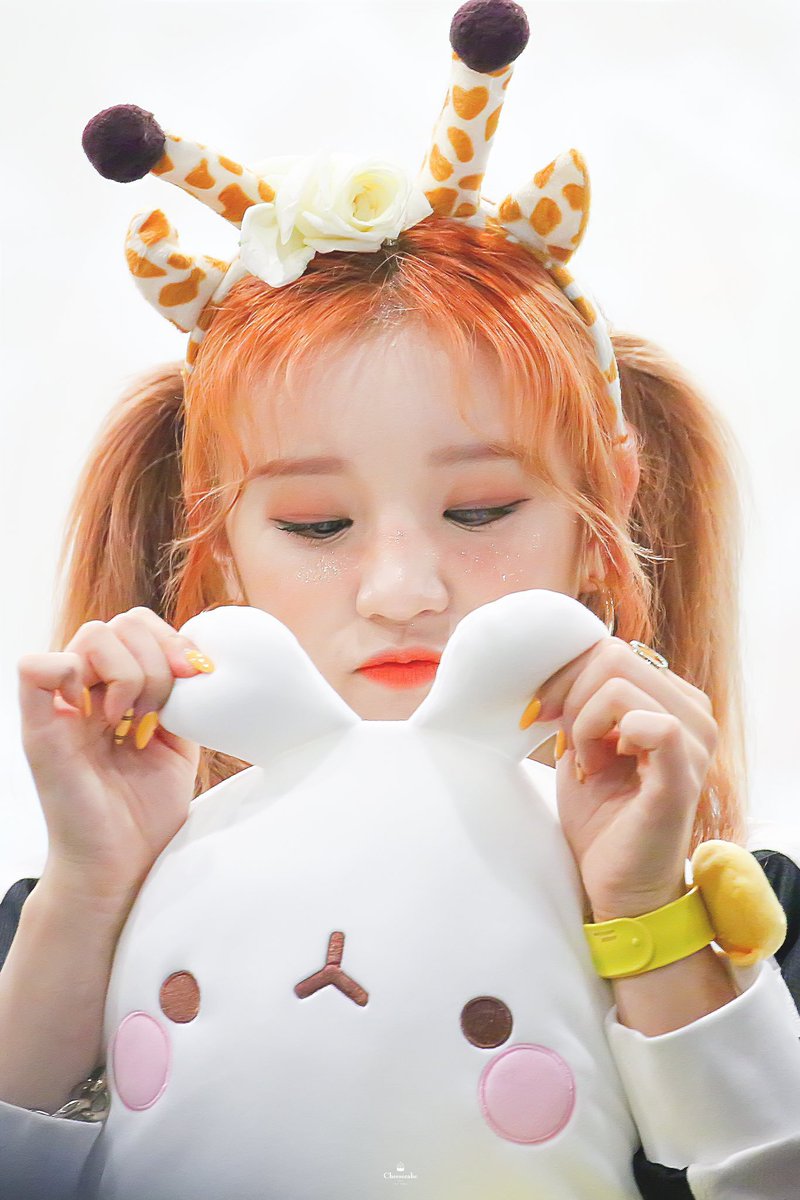 __spoiledbrxt's tweet photo. ㅤ⦅ 🚨 › gαther αround # # noɯ ı'm bαck from mч 𝐡𝐨𝐥𝐢假𝐝𝐚𝐲´ ╱. . 𝗅𝗈𝗇𝗀 𝗅𝗂𝗏𝖾 · the 𝙠𝙞𝙣𝙜 ɯhαt the people sαч. / them other knıghts ? ? sαч 𝕘𝕠𝕠𝕕𝕟𝕚𝕘𝕙𝕥. 𓍼 › https://t.co/GlHVO8Jd8e
