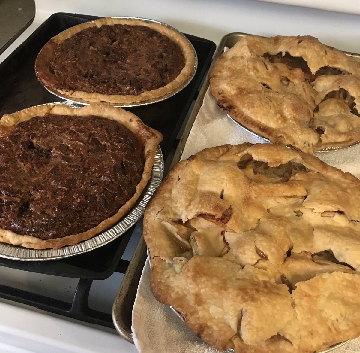 D5:-Made pies with “help” from children-wrote 2 new scenes in an attempt to recover from yesterday’s brutal massacre of darlings that nearly broke me.It... helped? But they are not darlings yet.