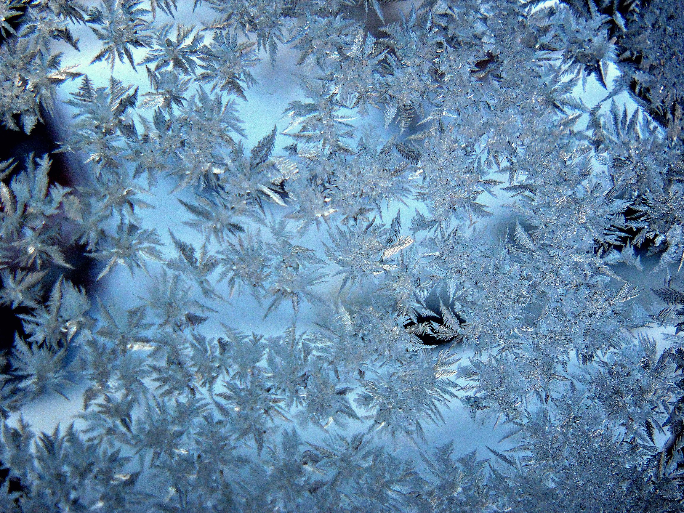 Морозные узоры на окне