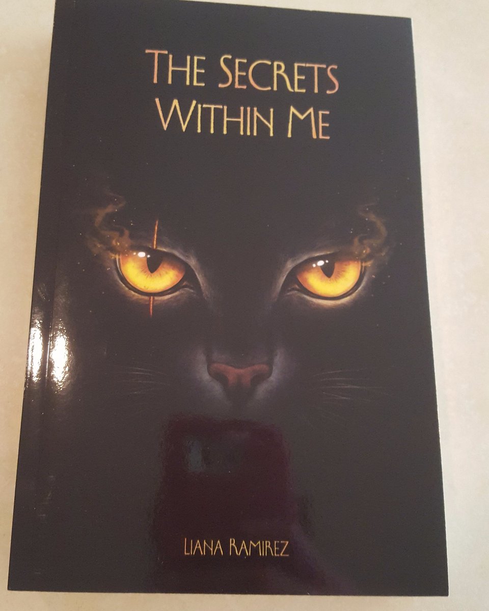 SDagger02's tweet photo. A really awesome book #TheSecretswithin https://t.co/neYN7UW2q6