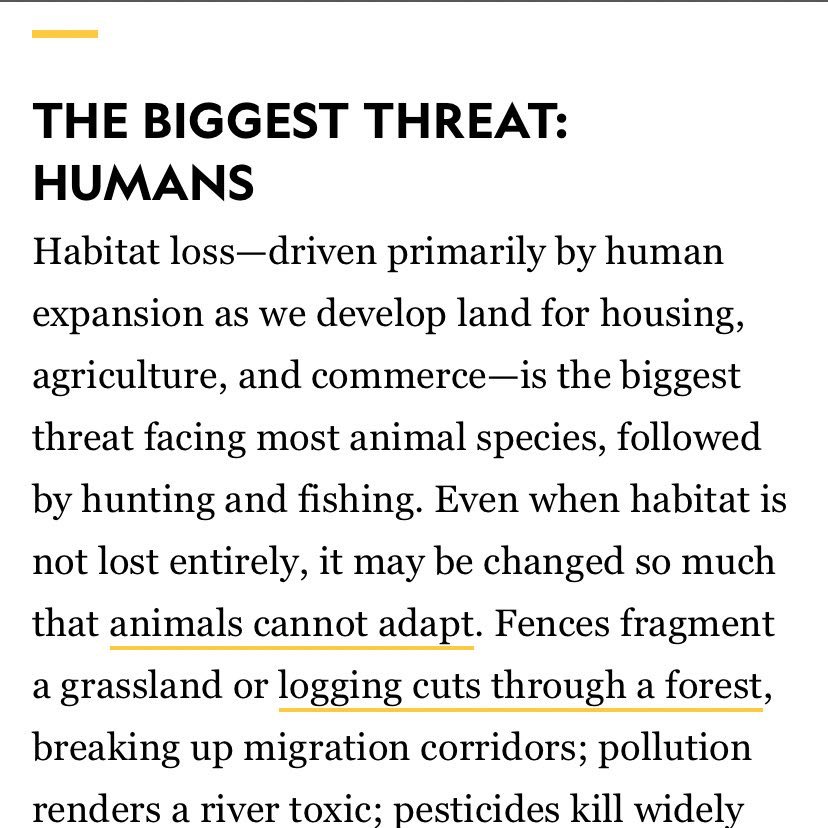 to start it off with a hard to swallow pill, the most common & main reason for extinction (according to  @NatGeo) are...